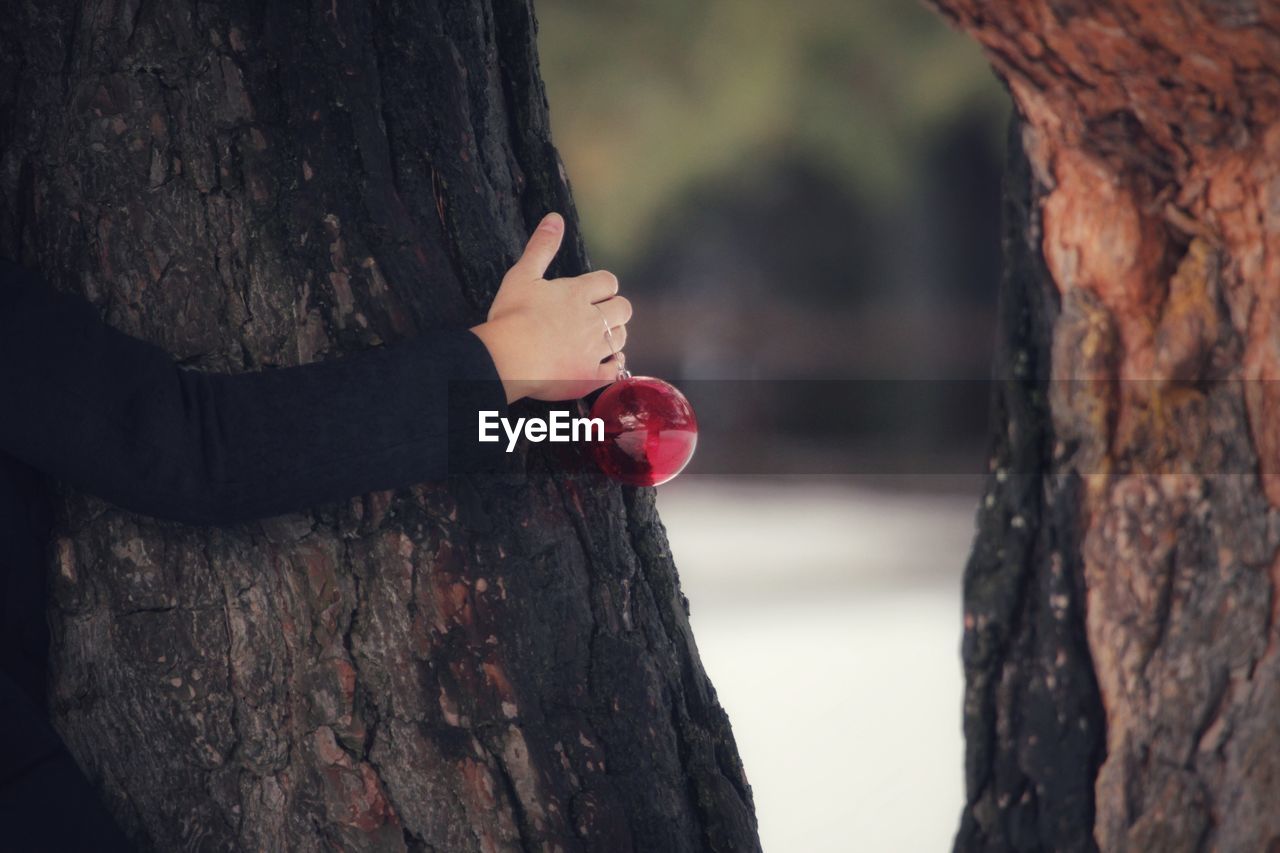 Cropped hand of woman holding bauble while embracing tree trunk