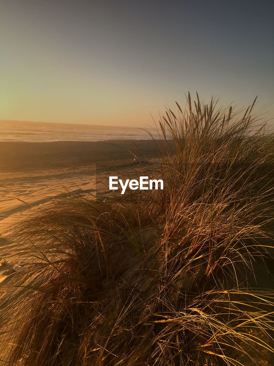 SCENIC VIEW OF SEA DURING SUNSET