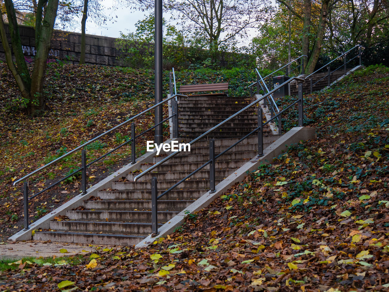 STEPS LEADING TOWARDS FOREST