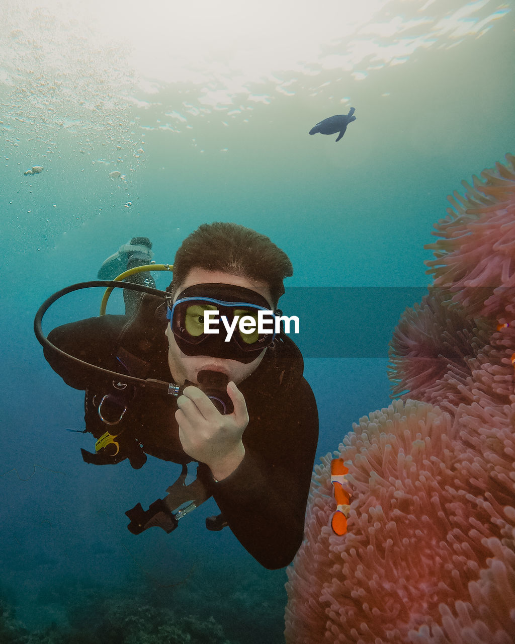 Underwater scuba diving man swimming near clown fish and anemone.
