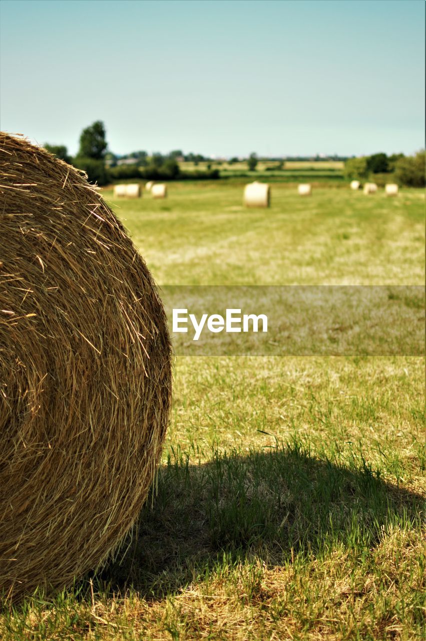 Hay bales on field against sky