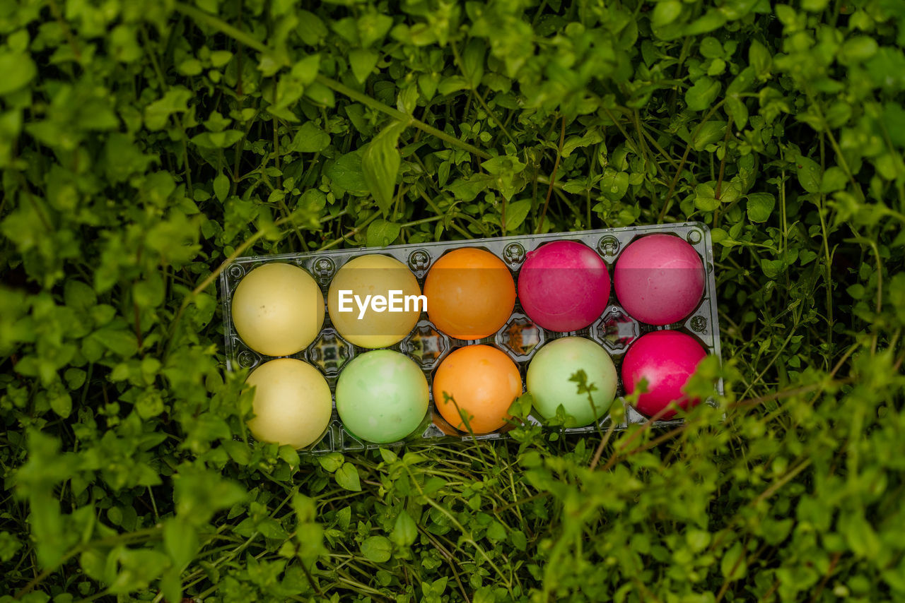 High angle view of easter eggs on grassy field