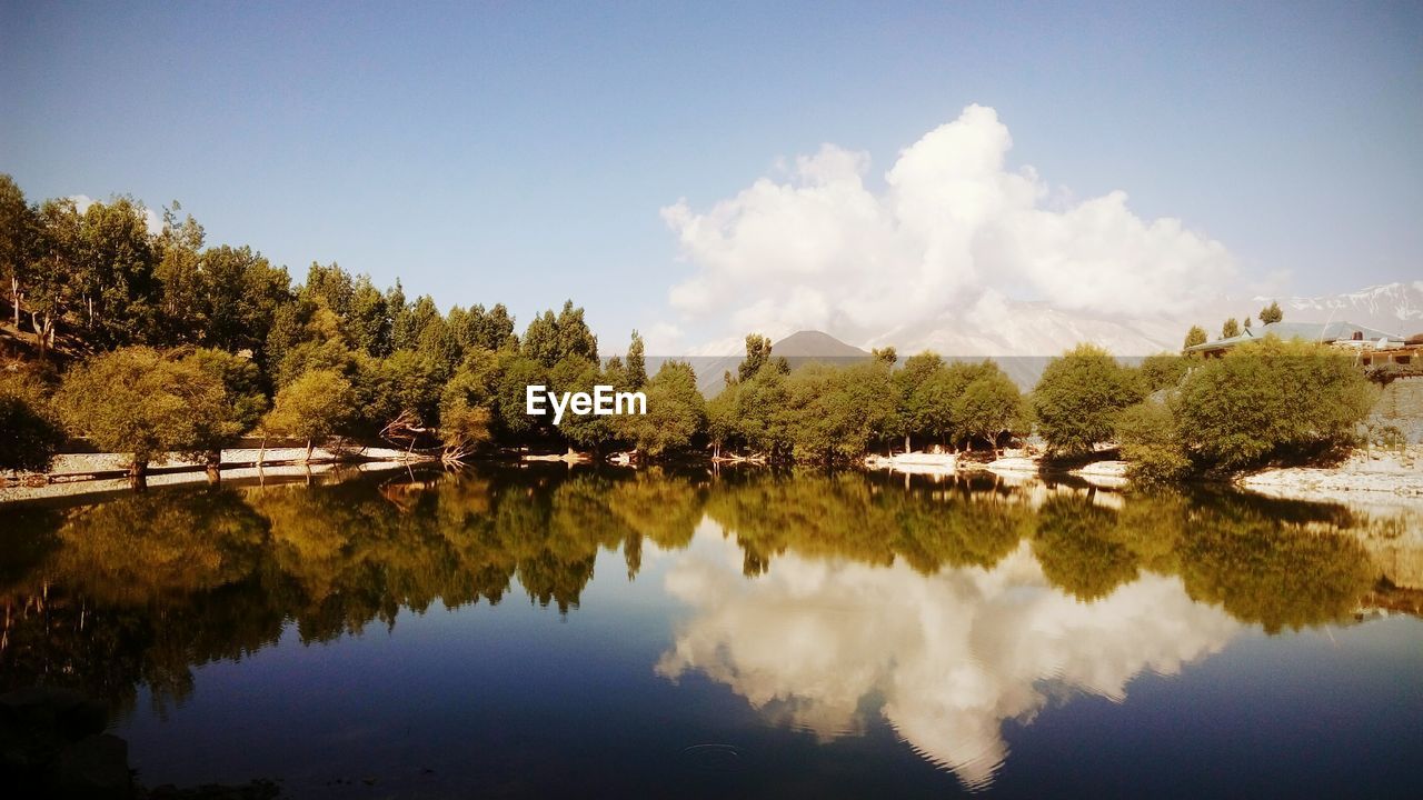 Reflection of trees and cloud in river on sunny day