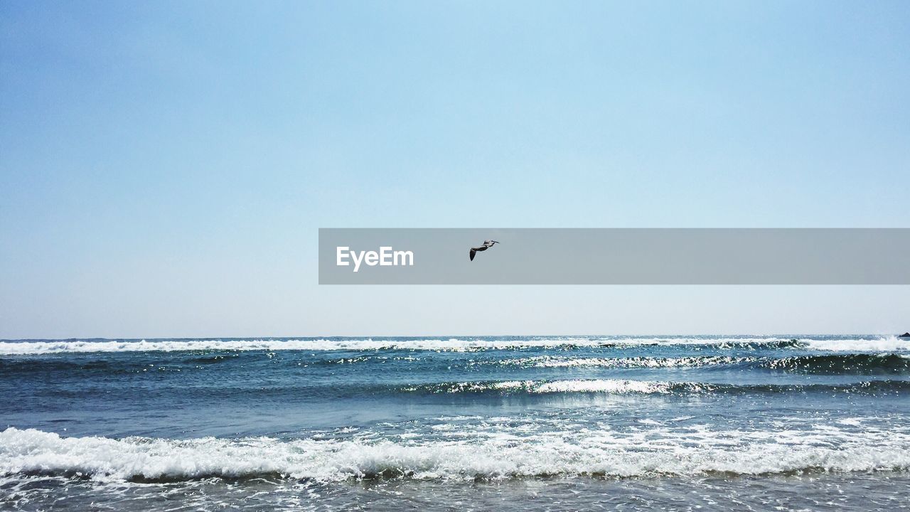 VIEW OF BIRDS FLYING OVER SEA