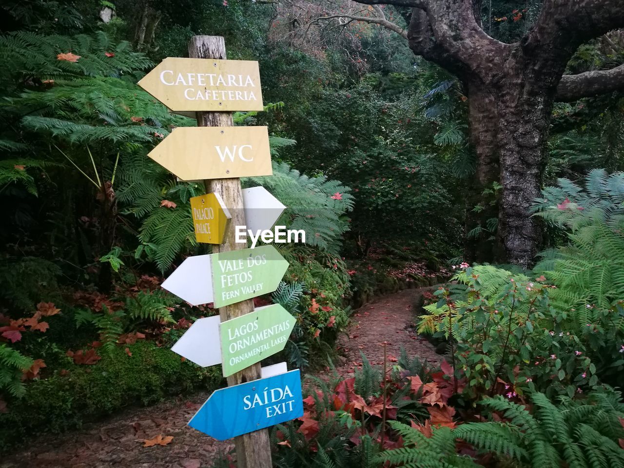 Information sign against trees