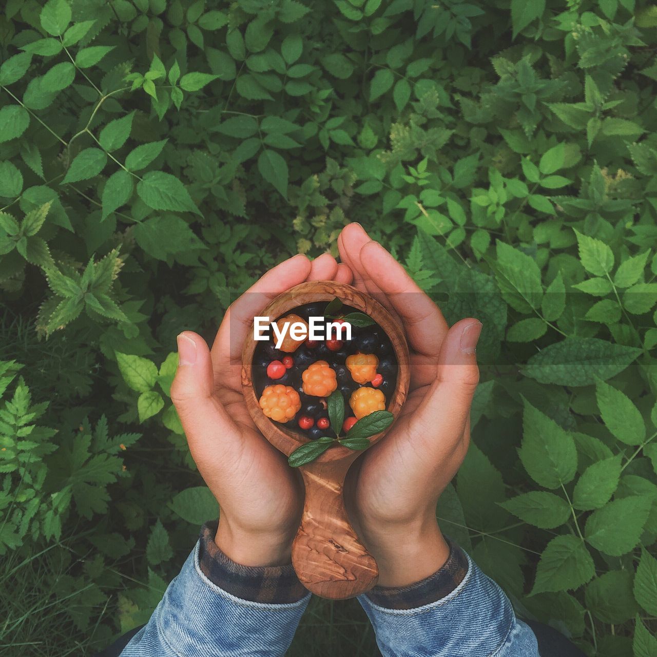 Cropped hands of person holding berry fruits in wooden bowl over plants