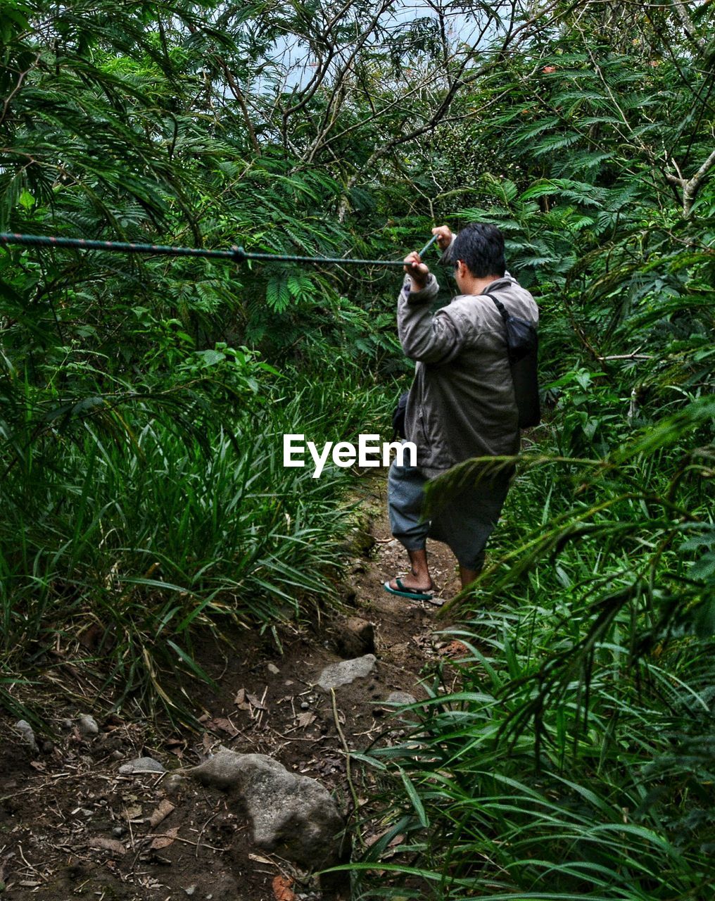 Side view of man in forest