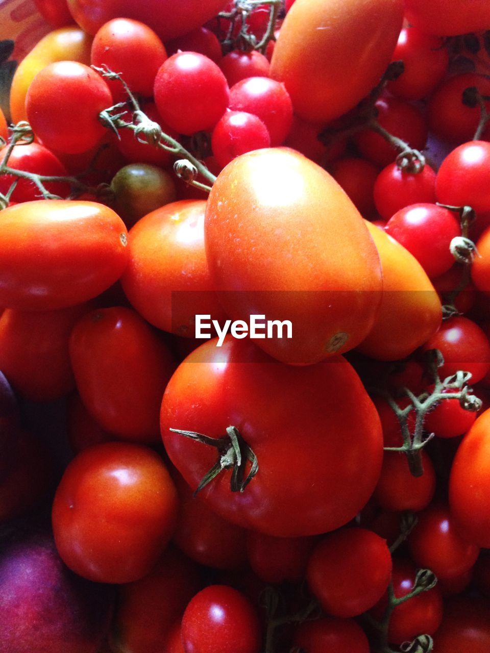 Full frame shot of tomatoes