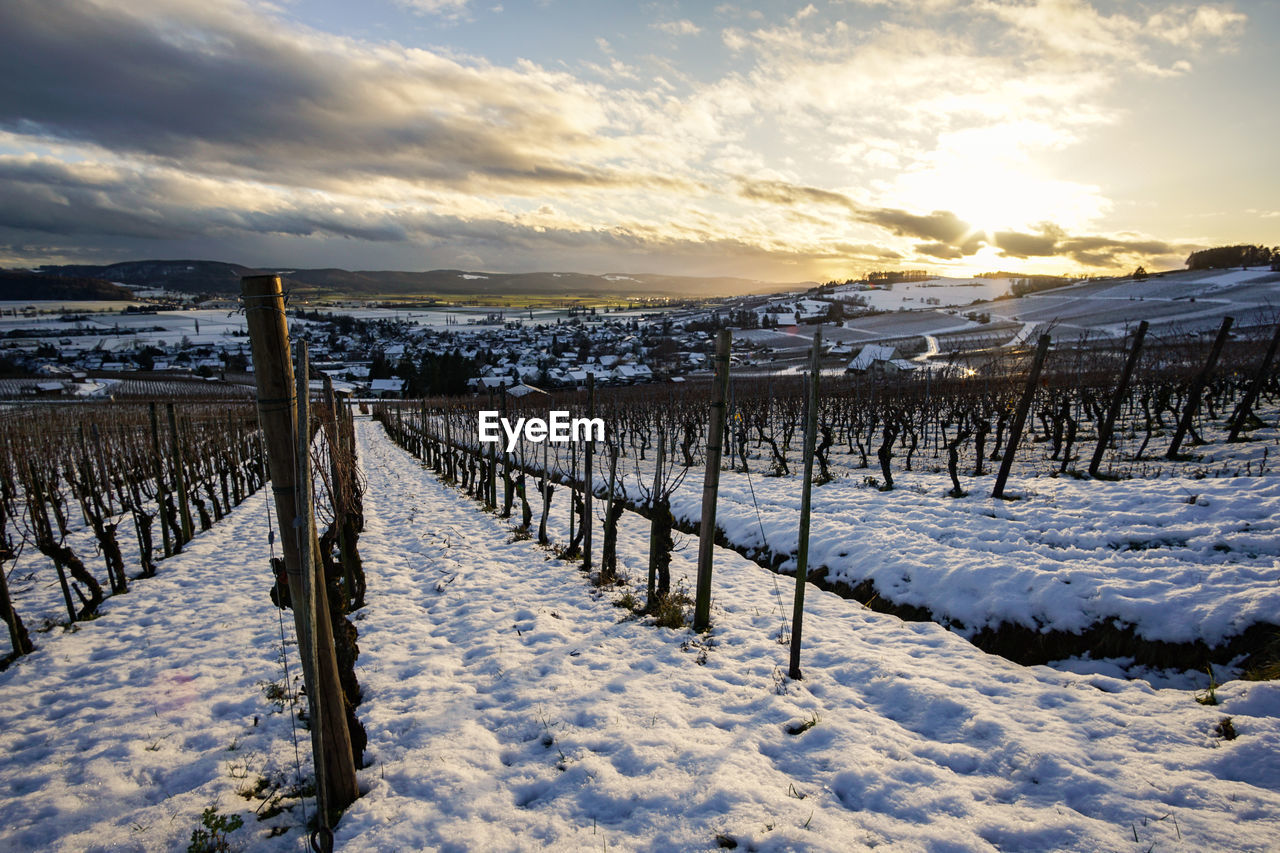 Wooden fence on snow covered field against sky