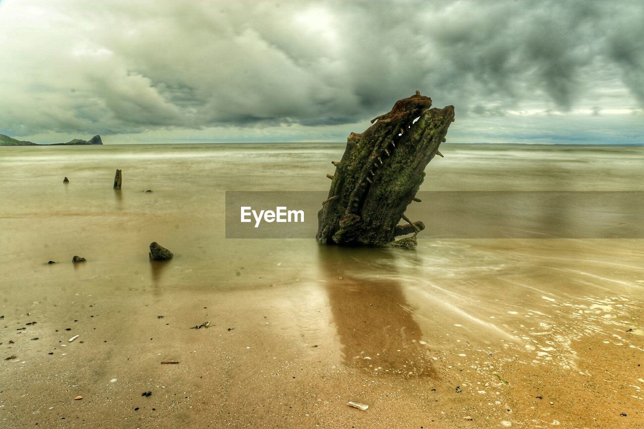 Drift wood on sand at beach