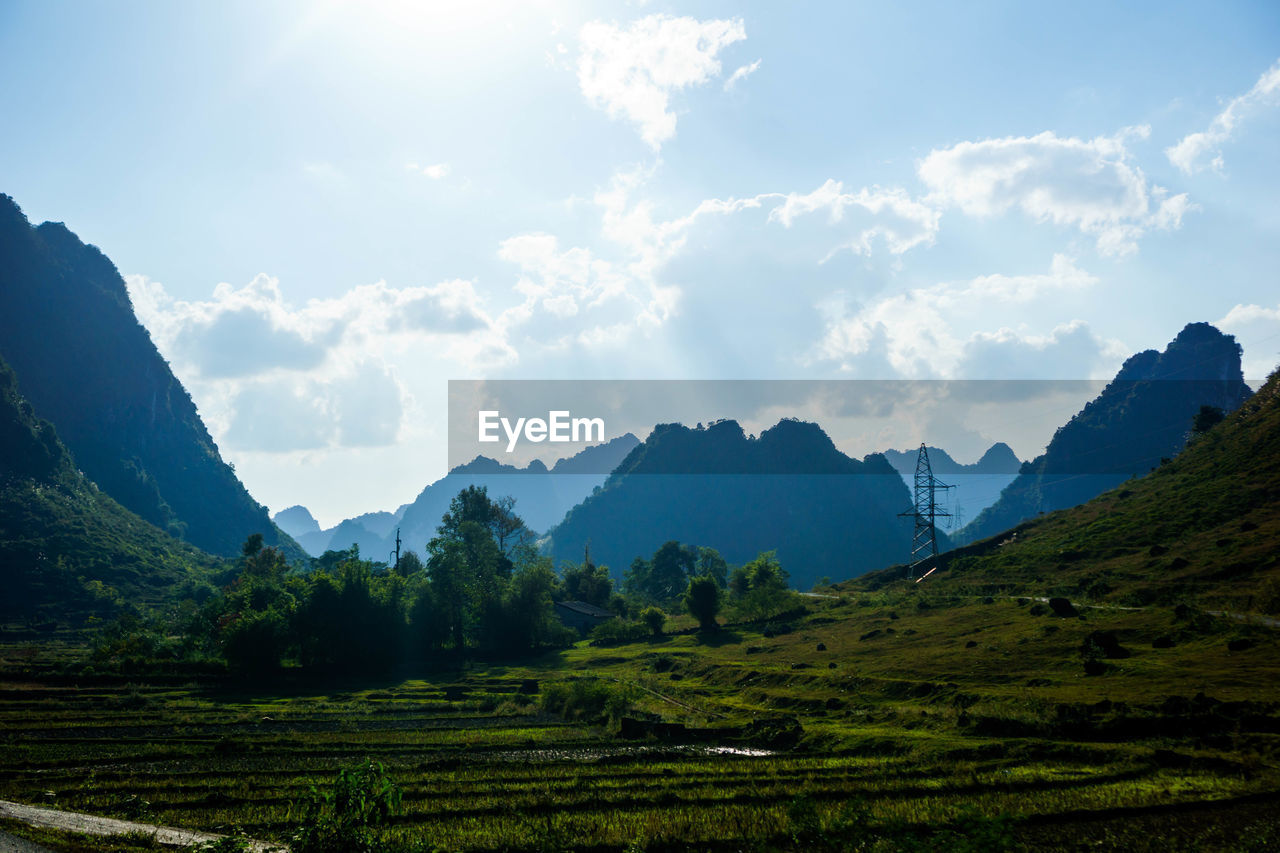 Scenic view of agricultural landscape against sky