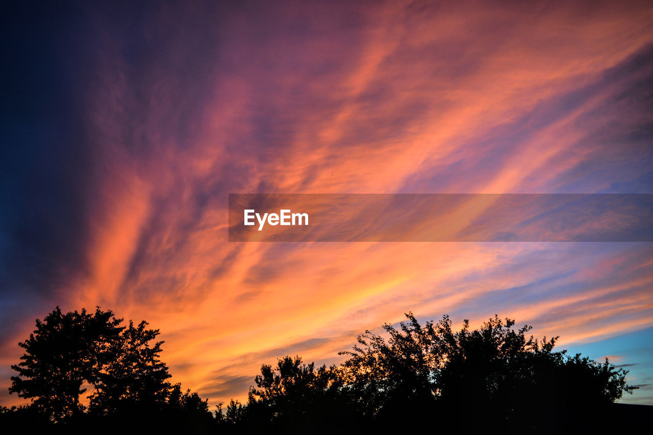 LOW ANGLE VIEW OF SILHOUETTE TREES AGAINST ROMANTIC SKY