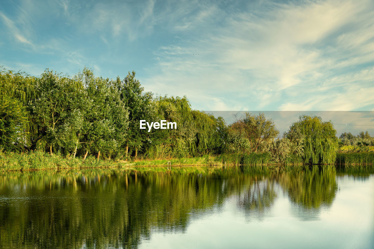 On the shore of a lake with green trees under a blue sky