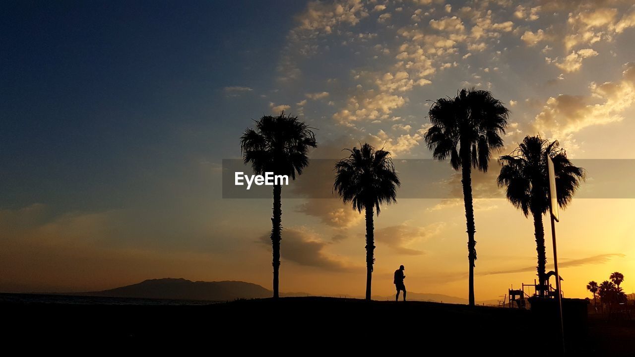 SILHOUETTE PALM TREES ON SHORE AGAINST SKY DURING SUNSET