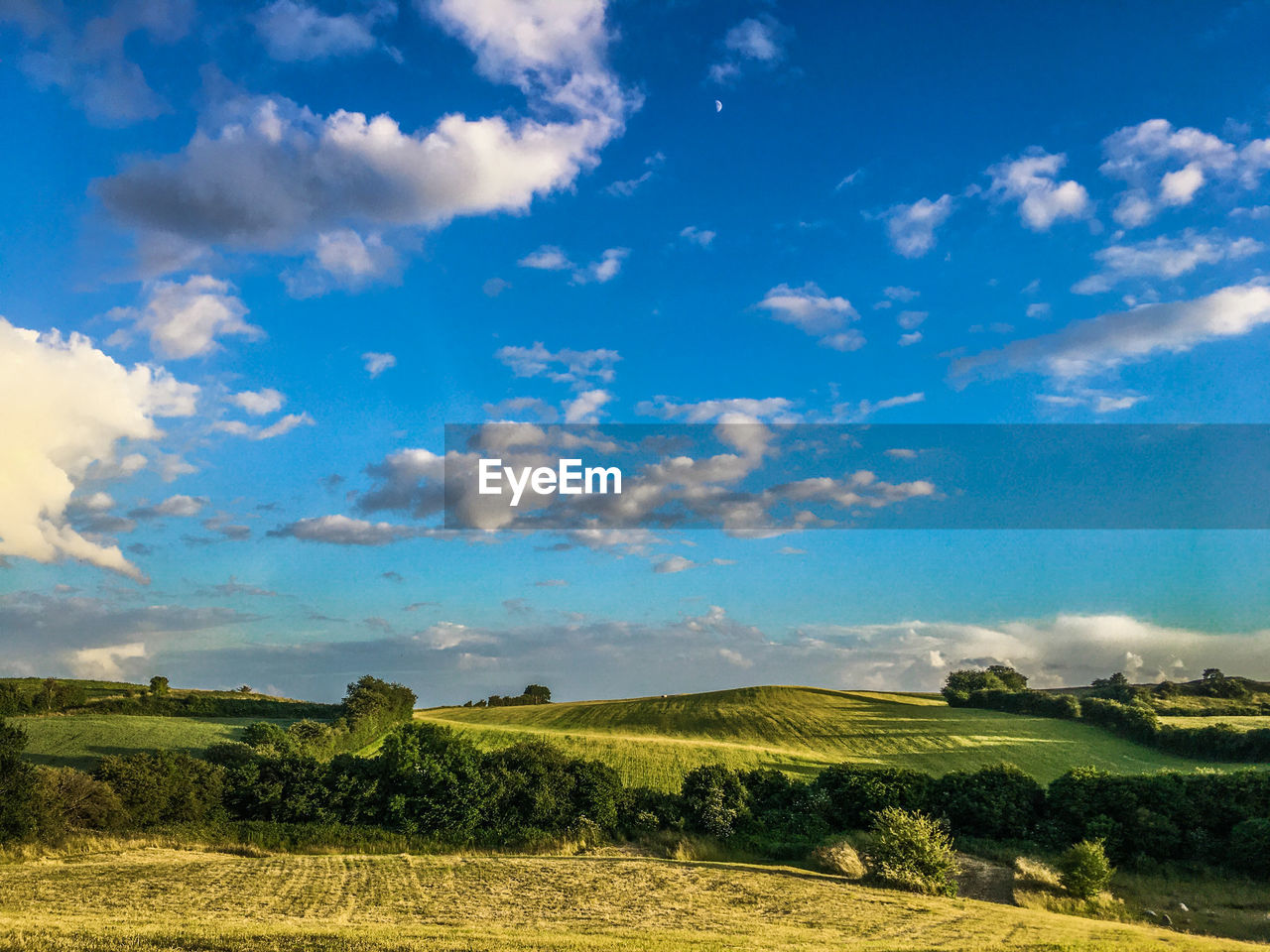 SCENIC VIEW OF AGRICULTURAL LANDSCAPE AGAINST SKY