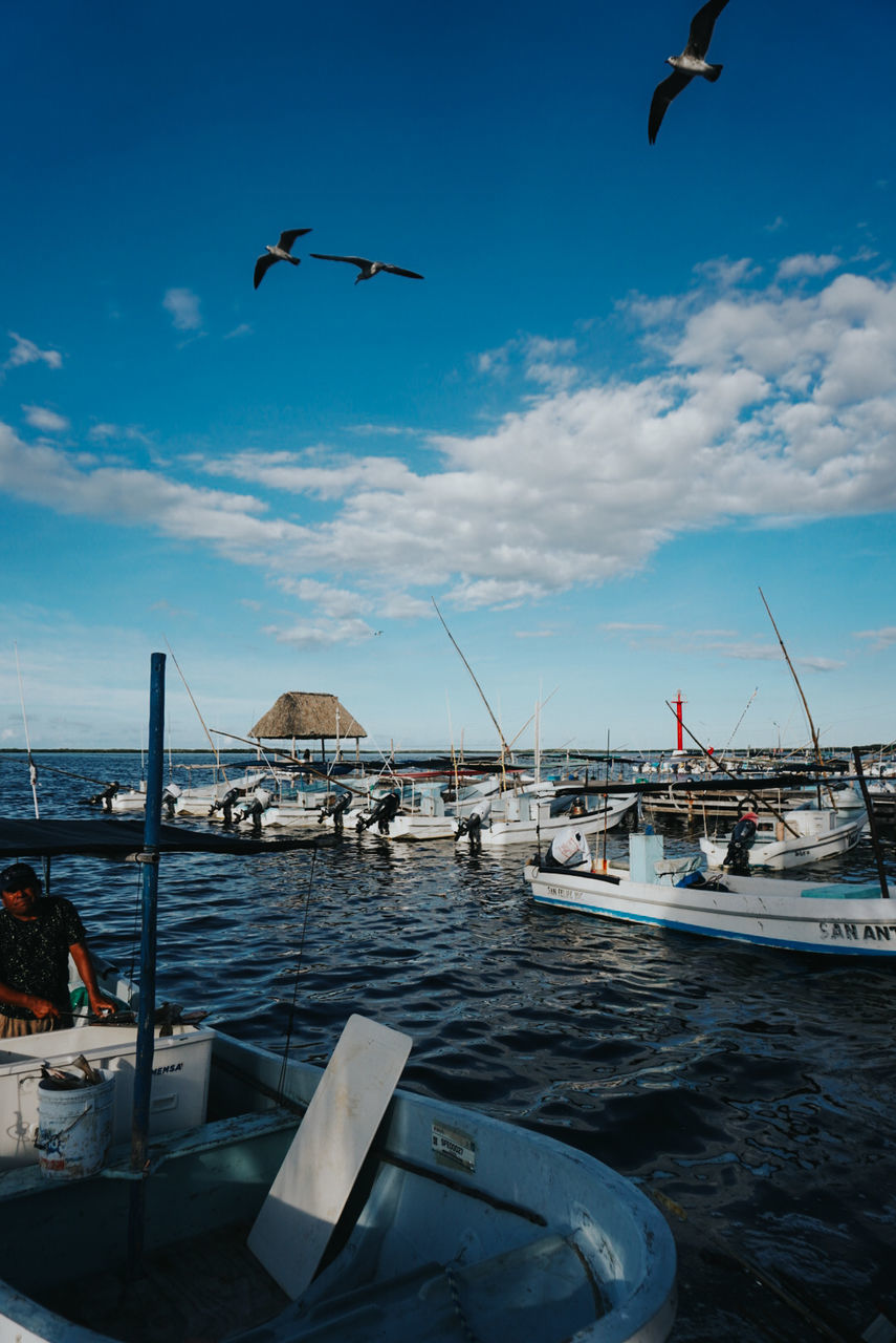 water, sky, sea, transportation, bird, flying, nautical vessel, wildlife, animal themes, animal, mode of transportation, animal wildlife, nature, ocean, cloud, seagull, travel destinations, group of animals, ship, coast, vehicle, harbor, travel, architecture, no people, blue, boat, day, pier, outdoors, beauty in nature, mid-air, land, vacation, trip, beach, moored, motion, city, sailboat, holiday