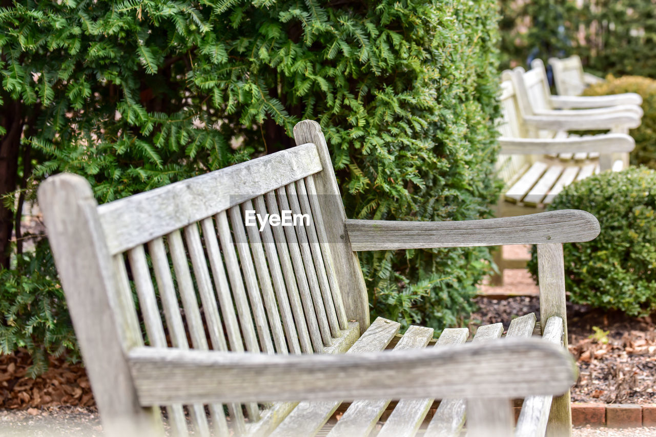 Empty bench in garden