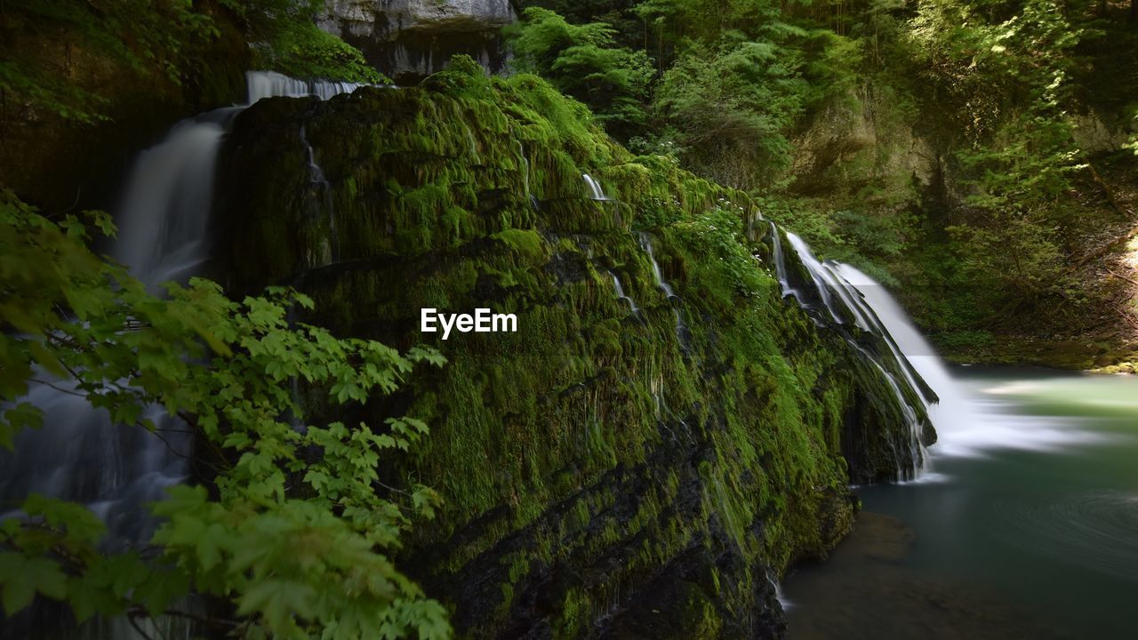 WATERFALL IN FOREST