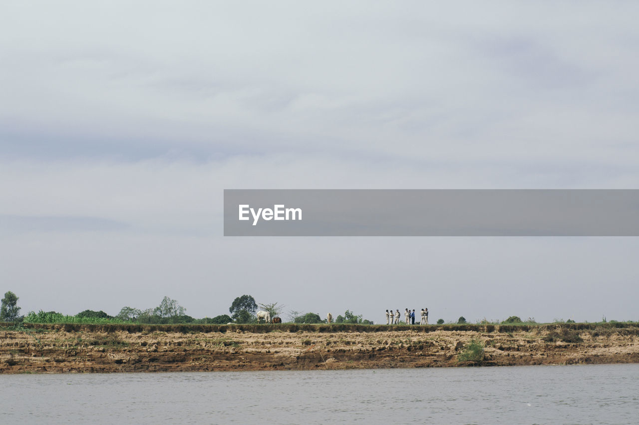 Scenic view of agricultural landscape against sky