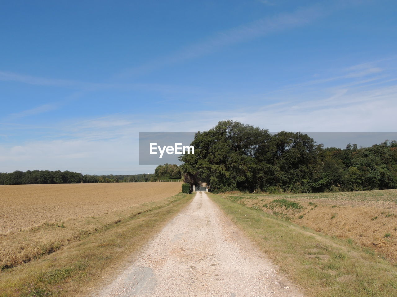 Dirt road amidst field against sky