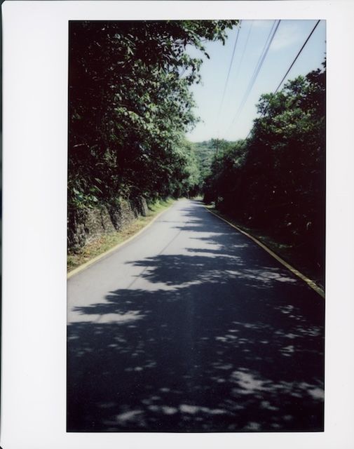 road, tree, transportation, plant, nature, the way forward, no people, day, sky, outdoors, auto post production filter, transfer print, city, diminishing perspective, picture frame, sign, road marking, street, text, art, symbol