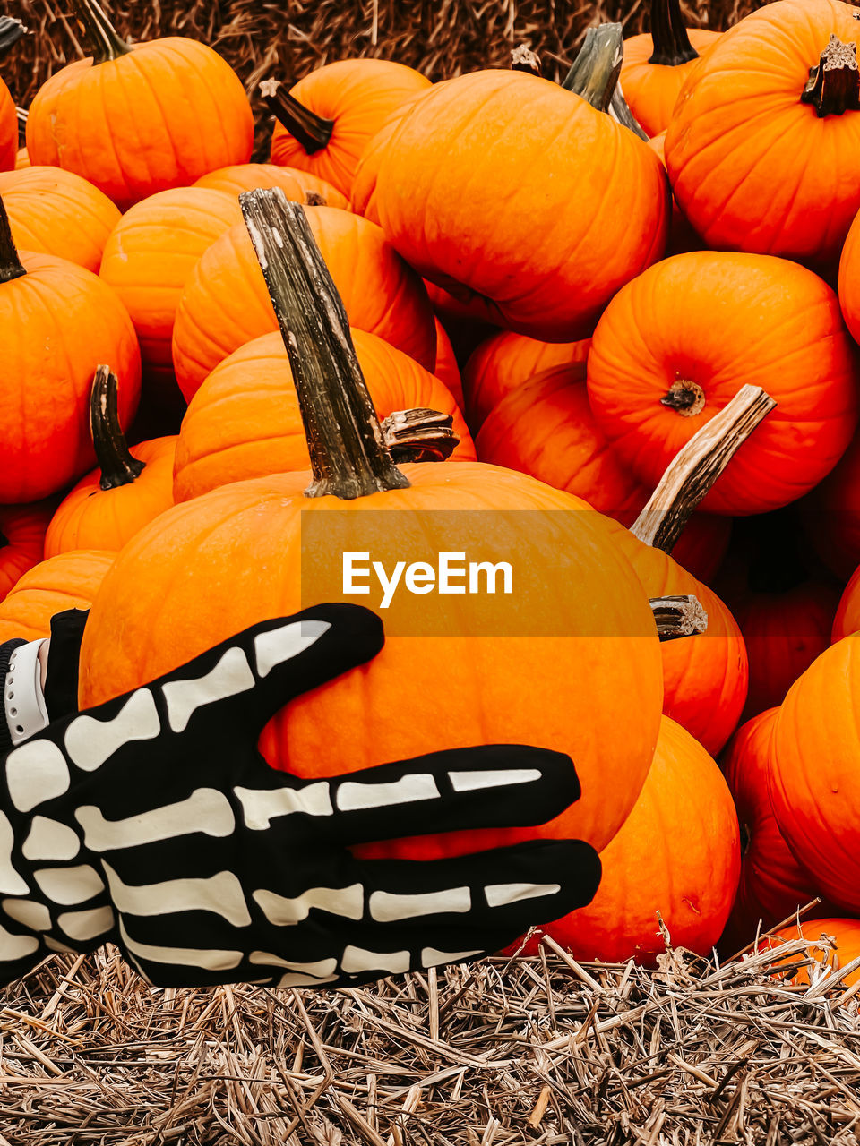 HIGH ANGLE VIEW OF PUMPKINS IN MARKET