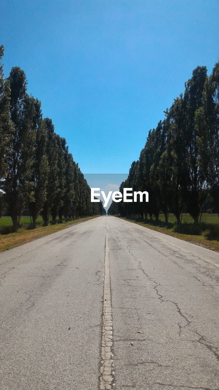 Empty road amidst trees against clear blue sky