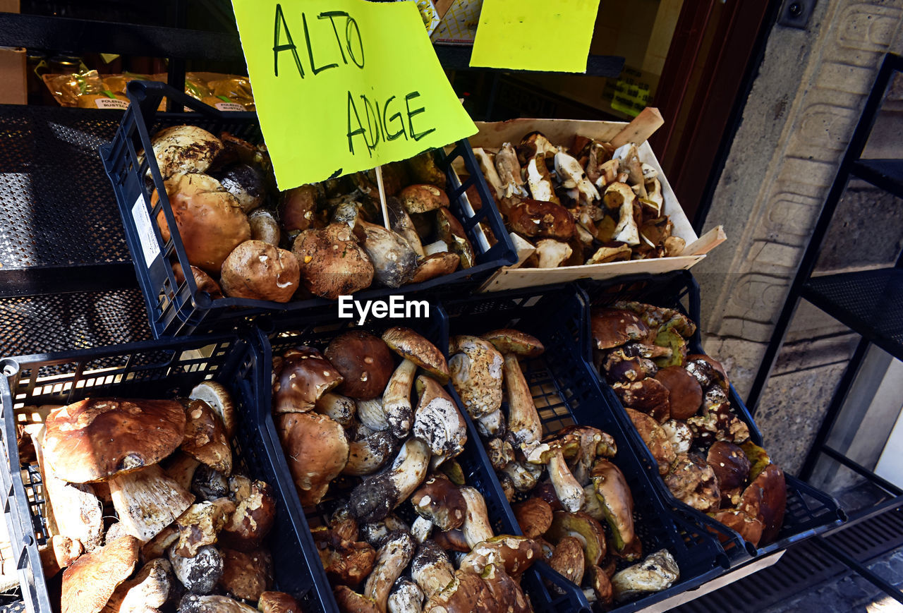 HIGH ANGLE VIEW OF FISH FOR SALE