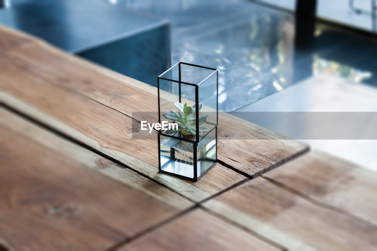 HIGH ANGLE VIEW OF POTTED PLANT ON GLASS TABLE