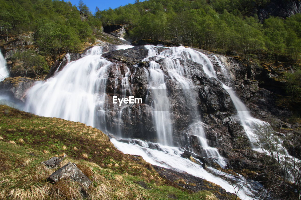 WATERFALL IN FOREST