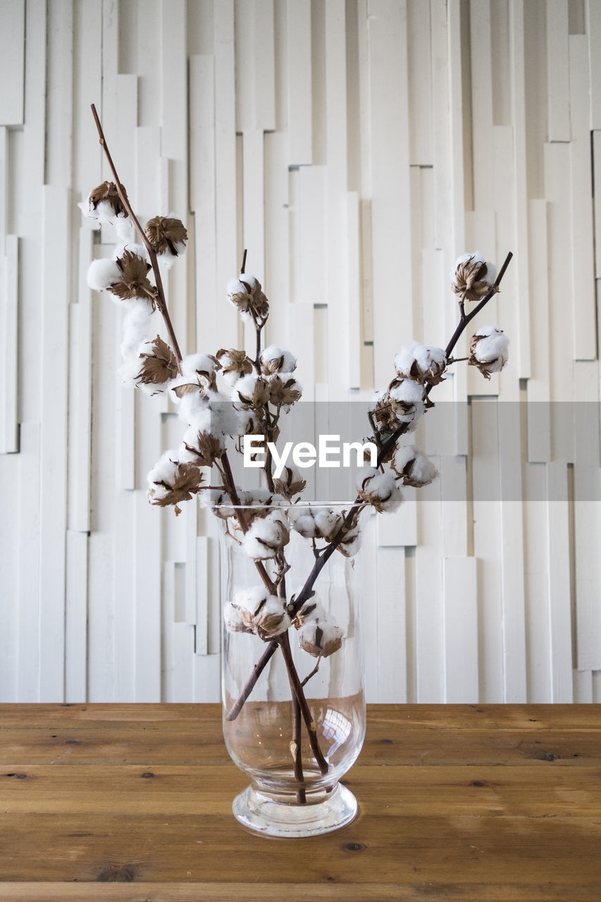 Cotton twigs in vase at home