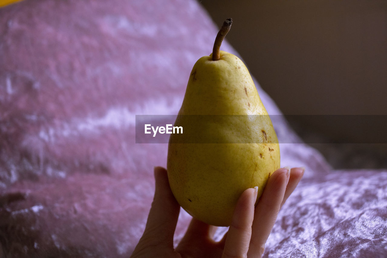 pear, food, food and drink, fruit, hand, healthy eating, one person, produce, plant, freshness, wellbeing, holding, yellow, macro photography, flower, close-up, indoors, sweetness, focus on foreground, leaf