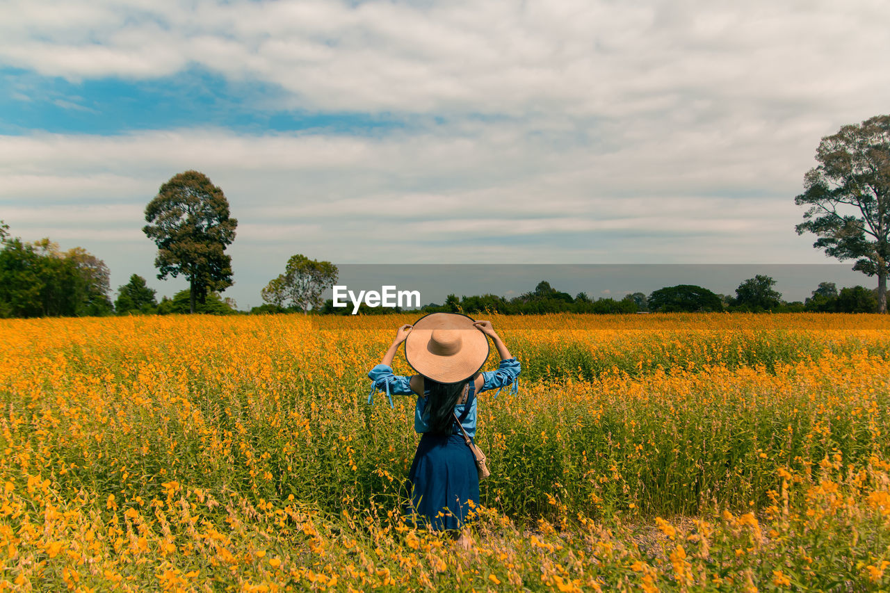 Rear view of young woman standing in yellow flower field 