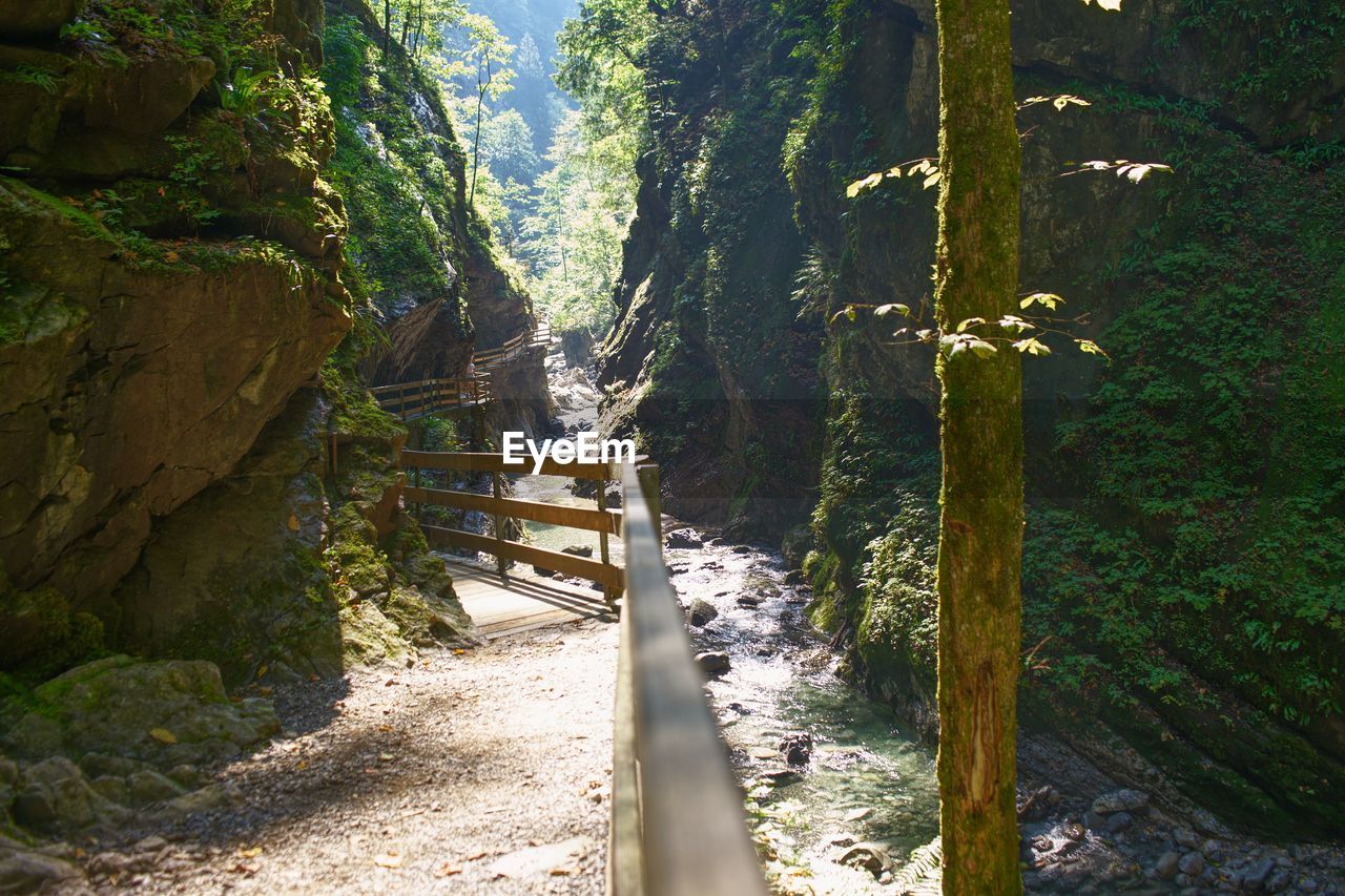 Hiking trail in austrian alps