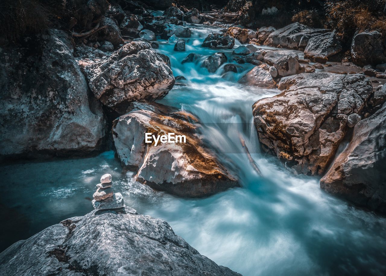 Scenic view of stream in forest