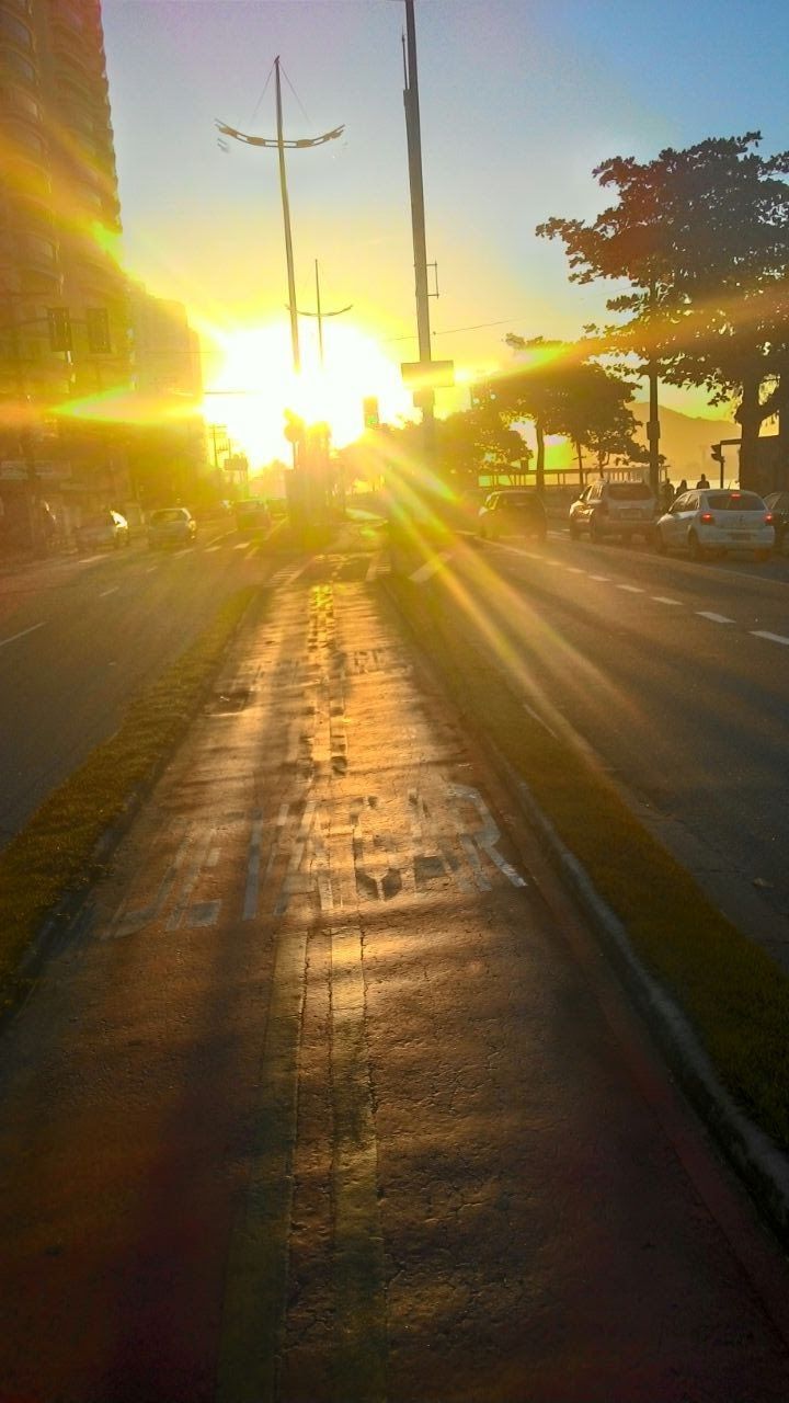 SUN SHINING THROUGH TREES DURING SUNSET