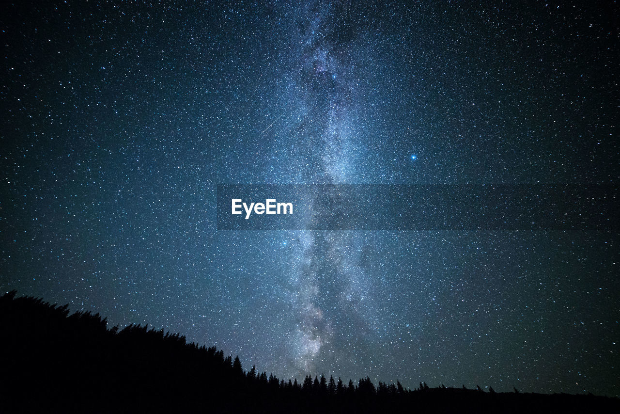 Low angle view of silhouette trees against star field at night