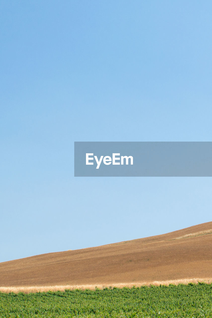 Scenic view of field against clear blue sky