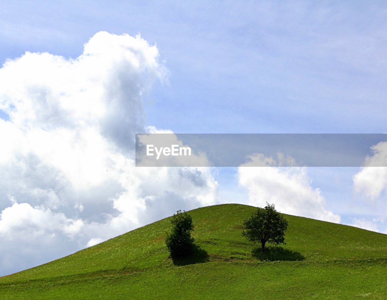 PANORAMIC VIEW OF GREEN LANDSCAPE AGAINST SKY