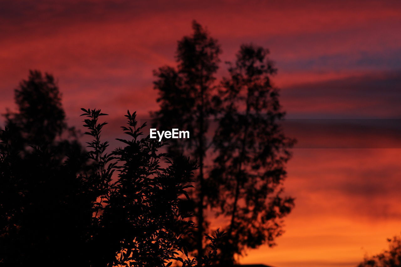 Low angle view of silhouette trees against orange cloudy sky