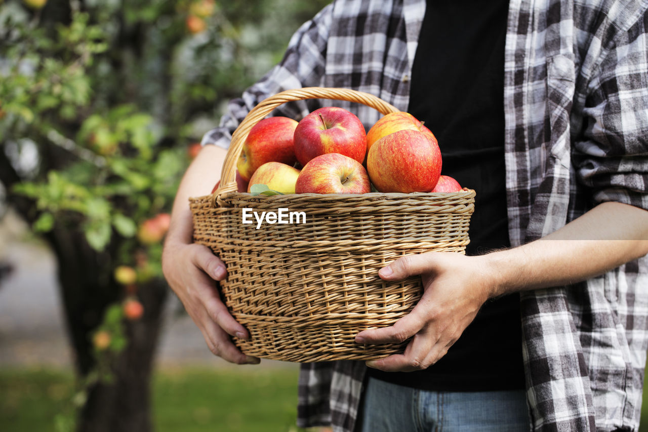 MIDSECTION OF MAN HOLDING APPLE BASKET