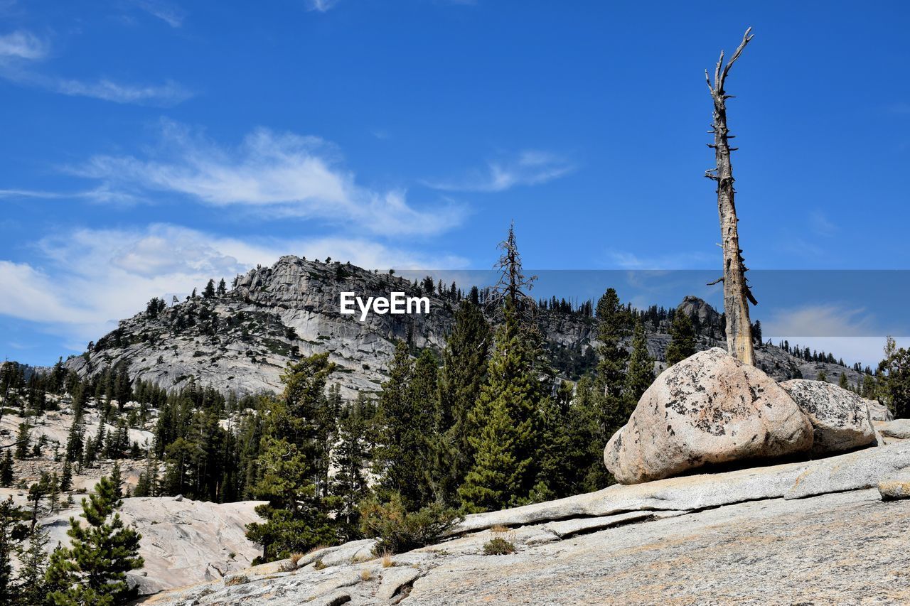 Scenic view of mountain against sky