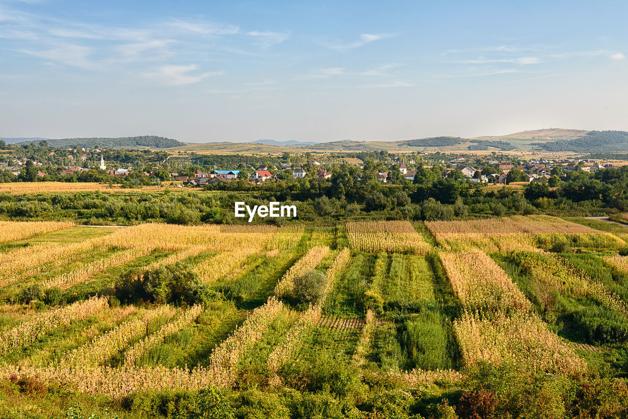 Scenic view of field against cloudy sky