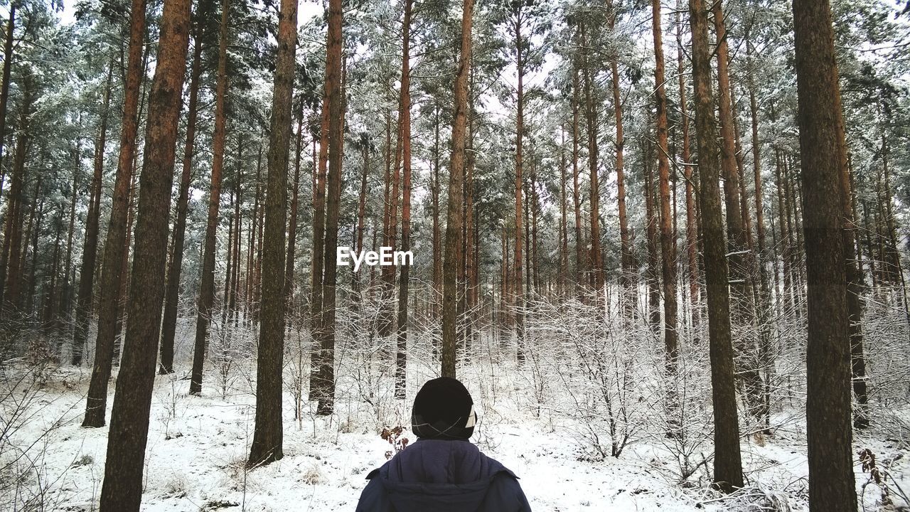 Rear view of person standing in forest during winter
