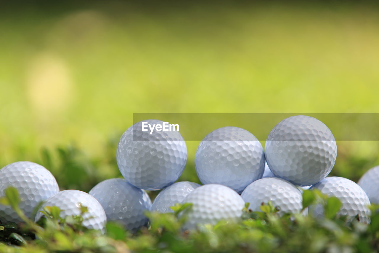 CLOSE-UP OF GOLF BALL AND PLANT
