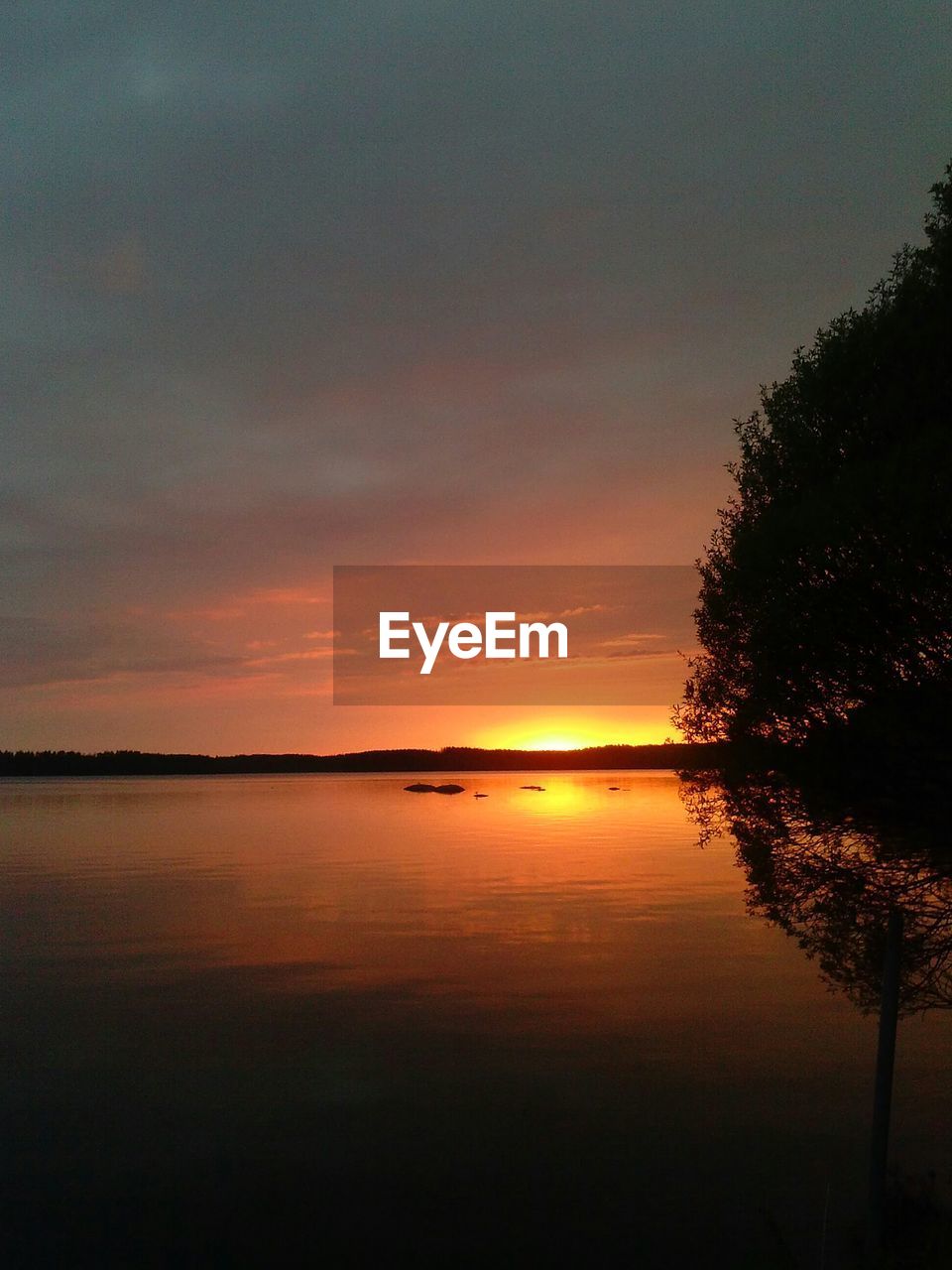 SCENIC VIEW OF SILHOUETTE TREES AGAINST ORANGE SKY