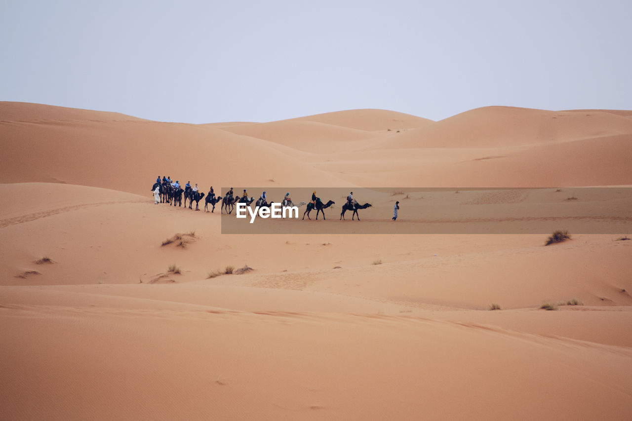 PEOPLE RIDING IN DESERT AGAINST SKY