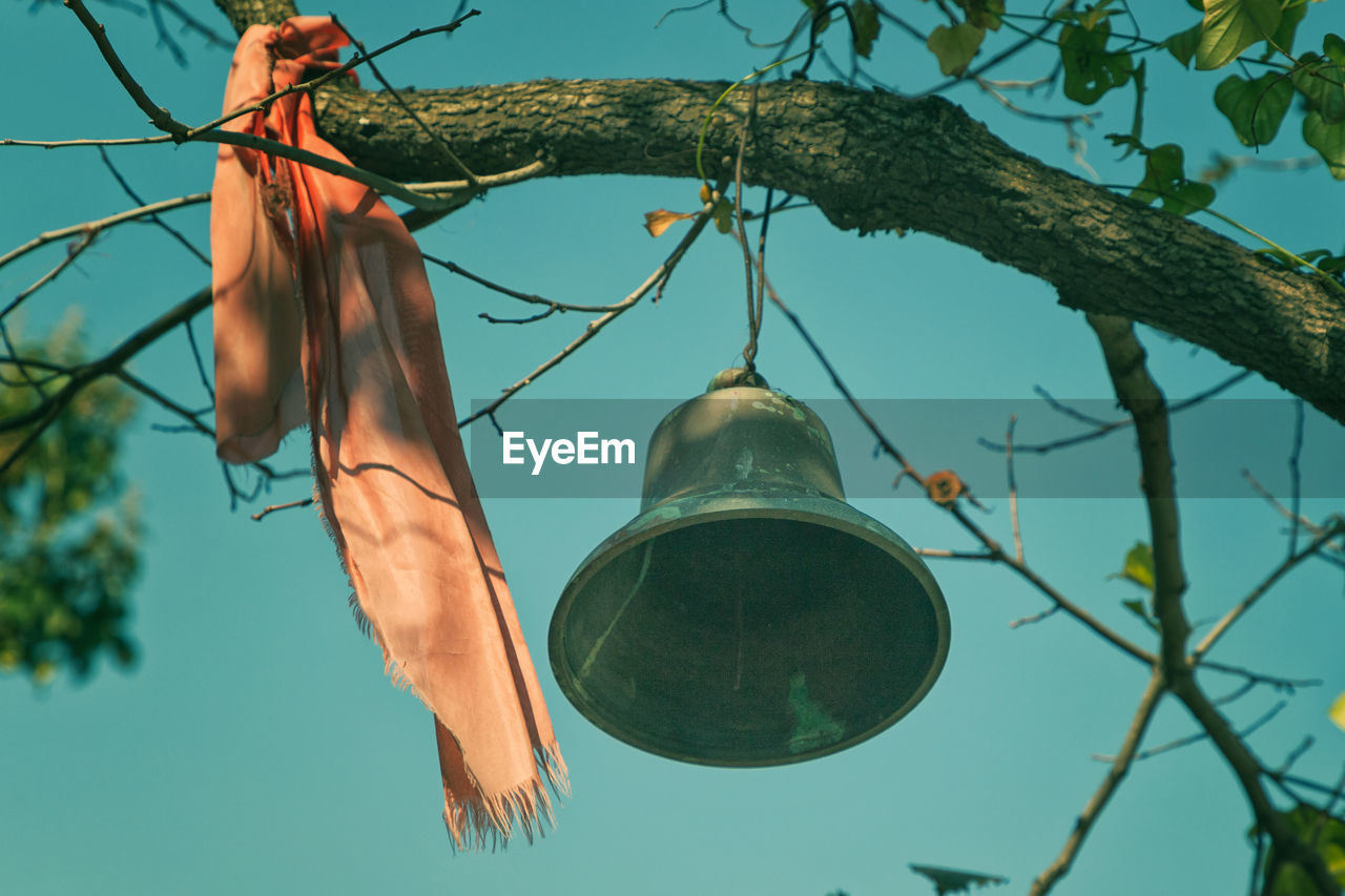 A bell hanging on branch