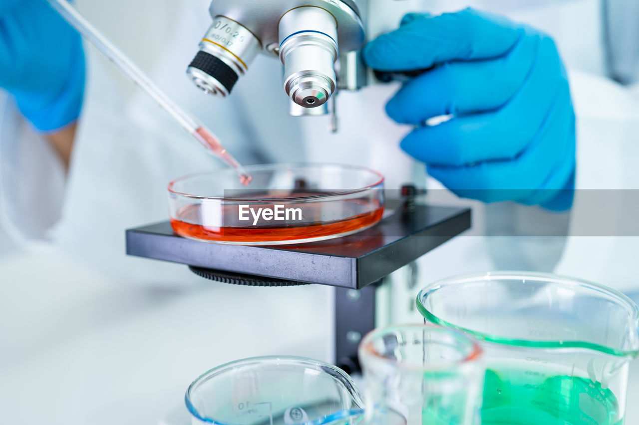 Cropped hands of scientist working at laboratory