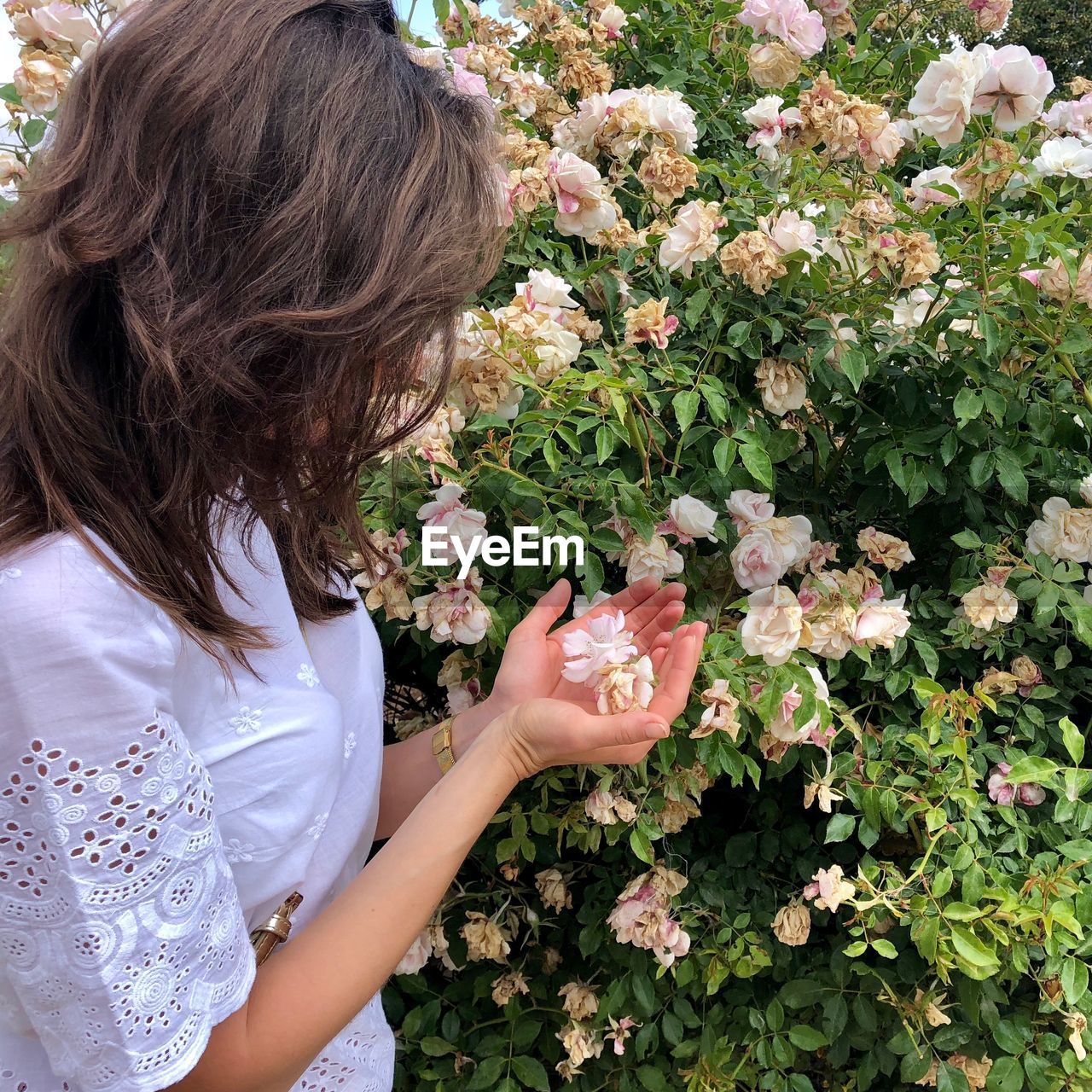 High angle view of woman holding flower